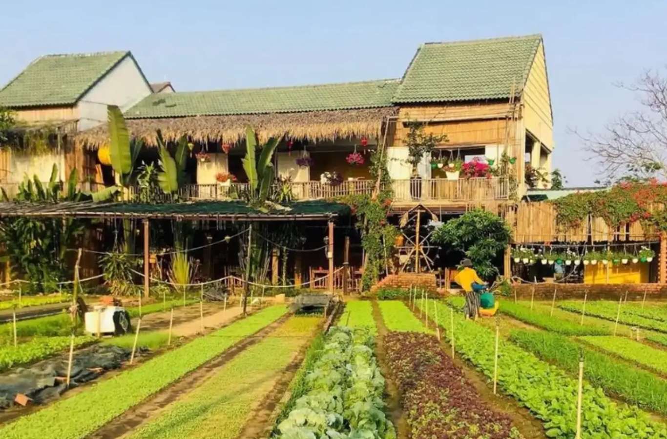 Capture the authentic charm of Vietnam’s lush scene